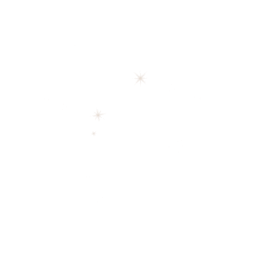particula G